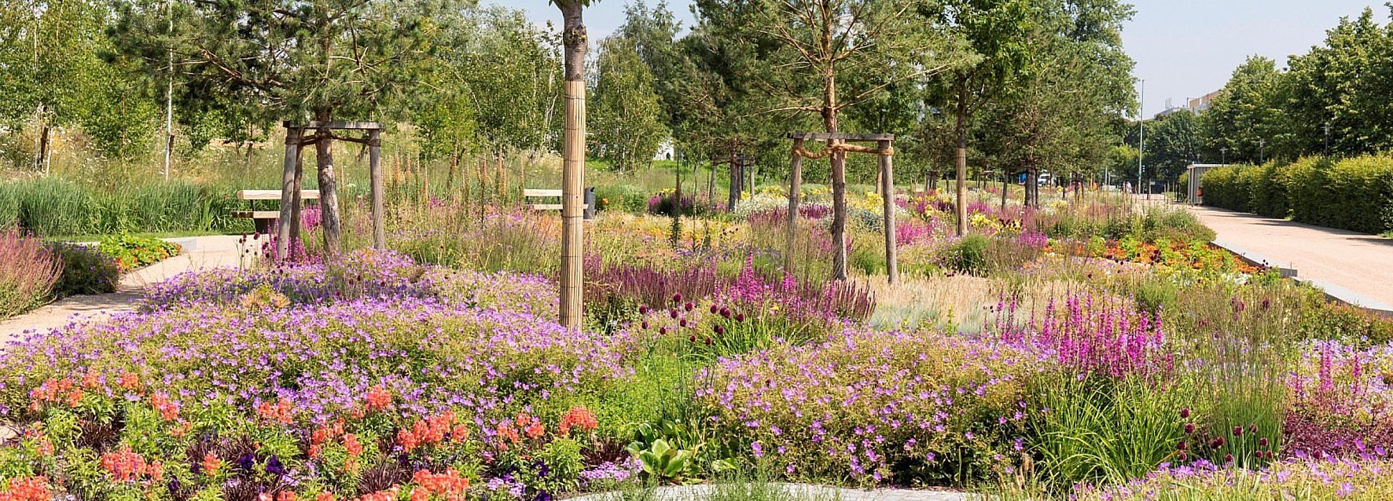 Blumenbeete in Rot- und Lila-Tönen des Märkischen Gartens im Kienberpark