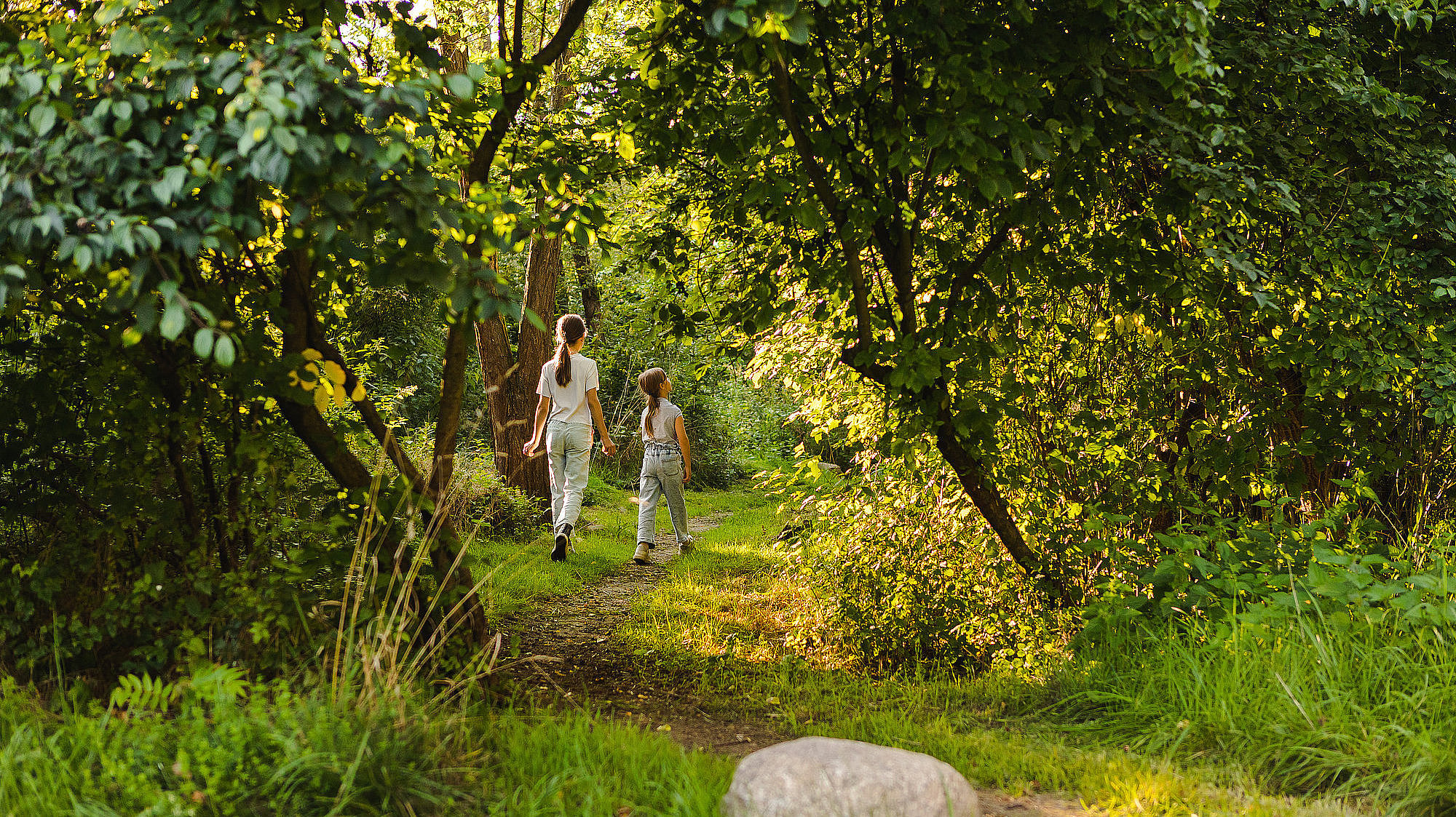 Zwei Schwestern spazieren durch den verwunschenen grünen Wald im Kienbergpark